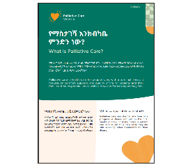 AMHARIC FLYER - What is palliative care?