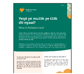 DINKA FLYER - What is palliative care?