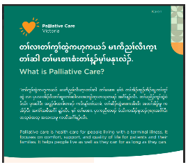 KAREN FLYER - What is palliative care?