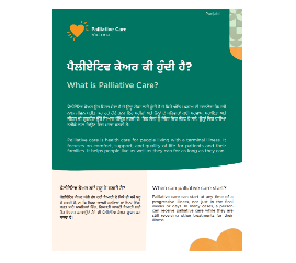 PUNJABI FLYER - What is palliative care?