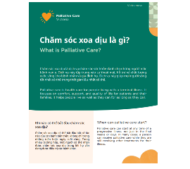 VIETNAMESE FLYER - What is palliative care?