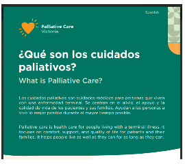 SPANISH FLYER - What is palliative care?