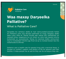 SOMALI FLYER - What is palliative care?